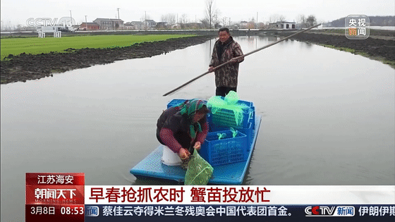 央视关注海安！